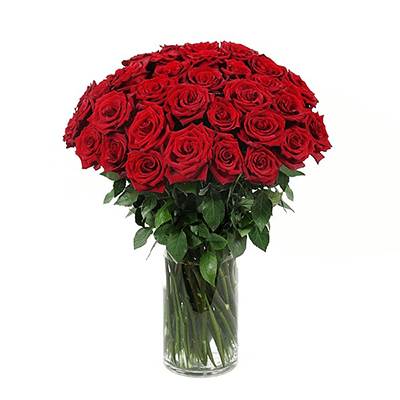 Três Dúzias de Rosas Elegantes
