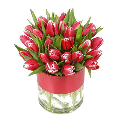 Para Sempre Tulipas