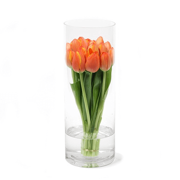 Tulipas Citrus Twist
